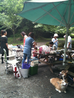 image-20100712161447.png
