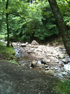 image-20100712161708.png