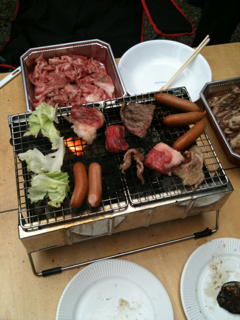 image-20100712161817.png